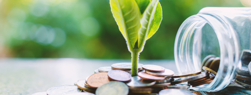 Plant growing from coins outside the glass jar on blurred green natural background for business and financial growth concept