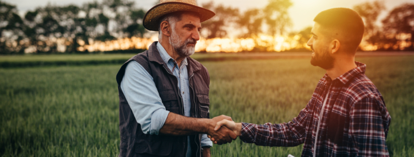 workers handshake outdoor on wheat field