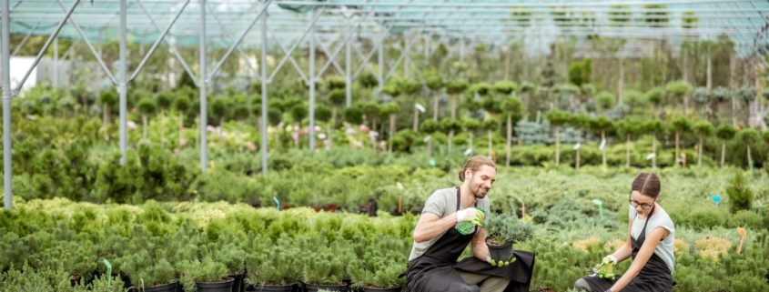 two employees at a plant nursery